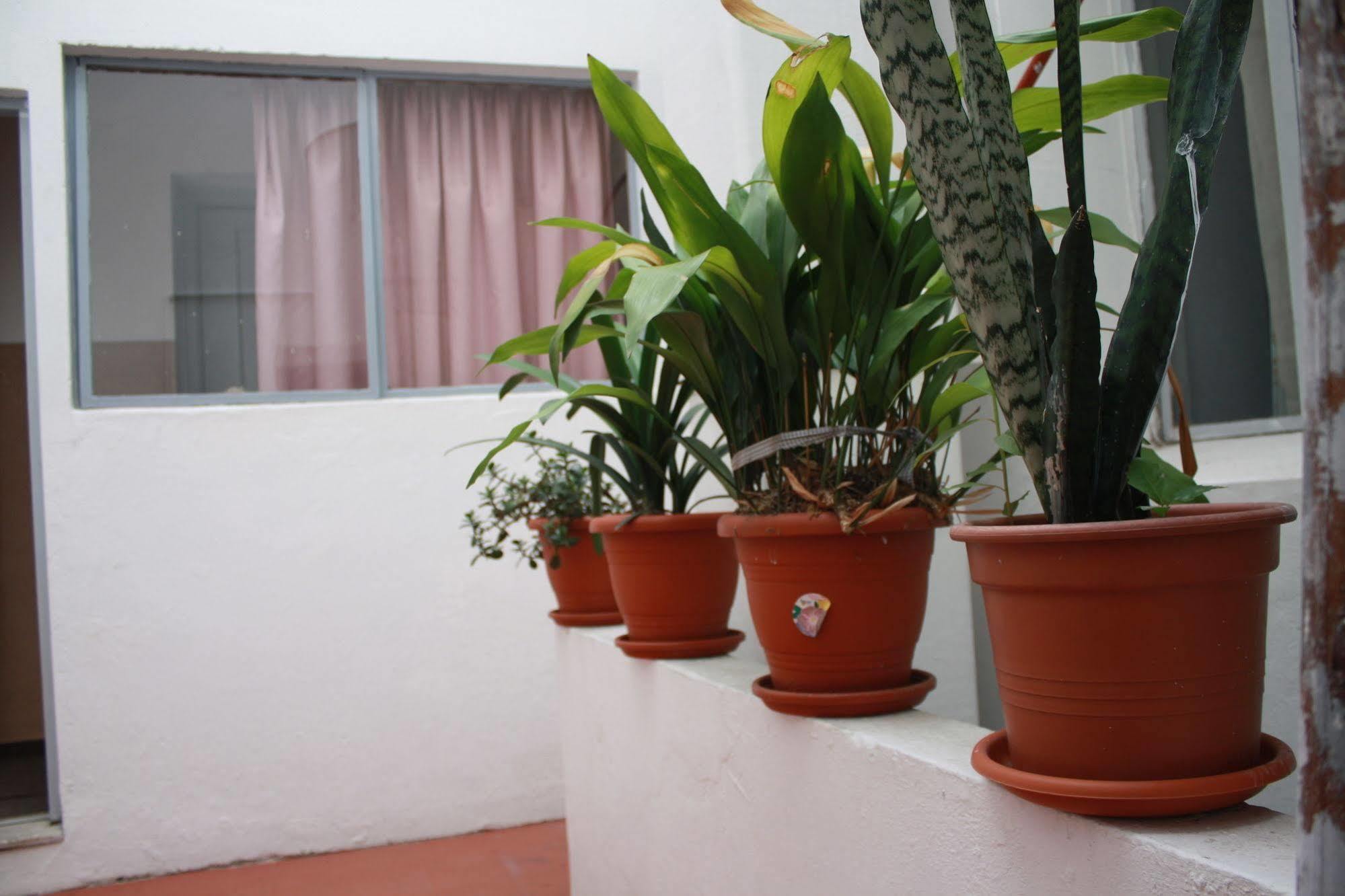 מונטווידאו Hotel Ideal מראה חיצוני תמונה